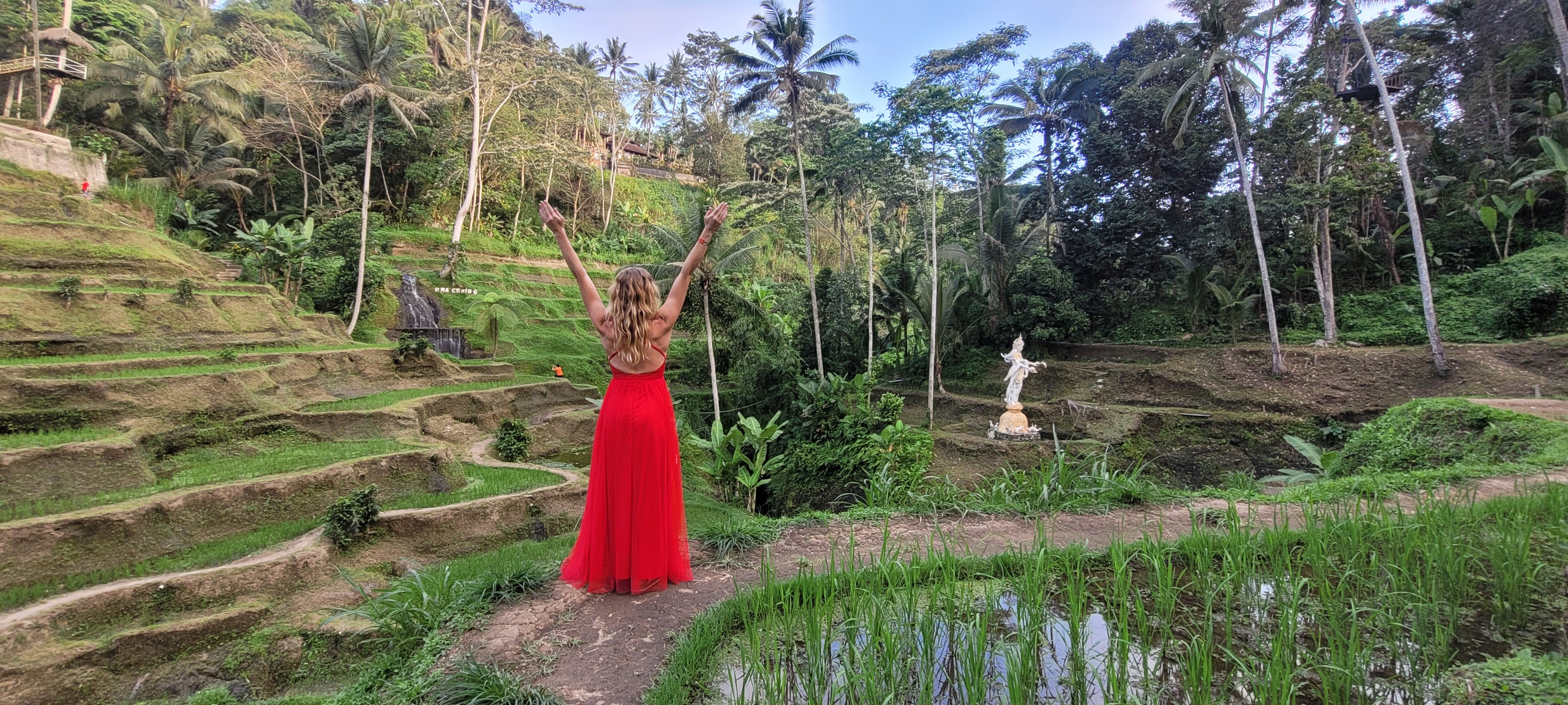 Lush Bali landscape